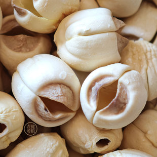福建三明建宁新鲜建莲子无芯干货手工去芯无硫熏建莲莲子无心白莲