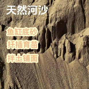 纯天然河沙养花拌土发根扦插育苗 鱼缸底砂养殖 多肉铺面簕竹种植