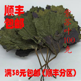 中药材 紫苏叶 苏叶 生紫苏叶 可打超细粉 正品 100g 满38元包邮
