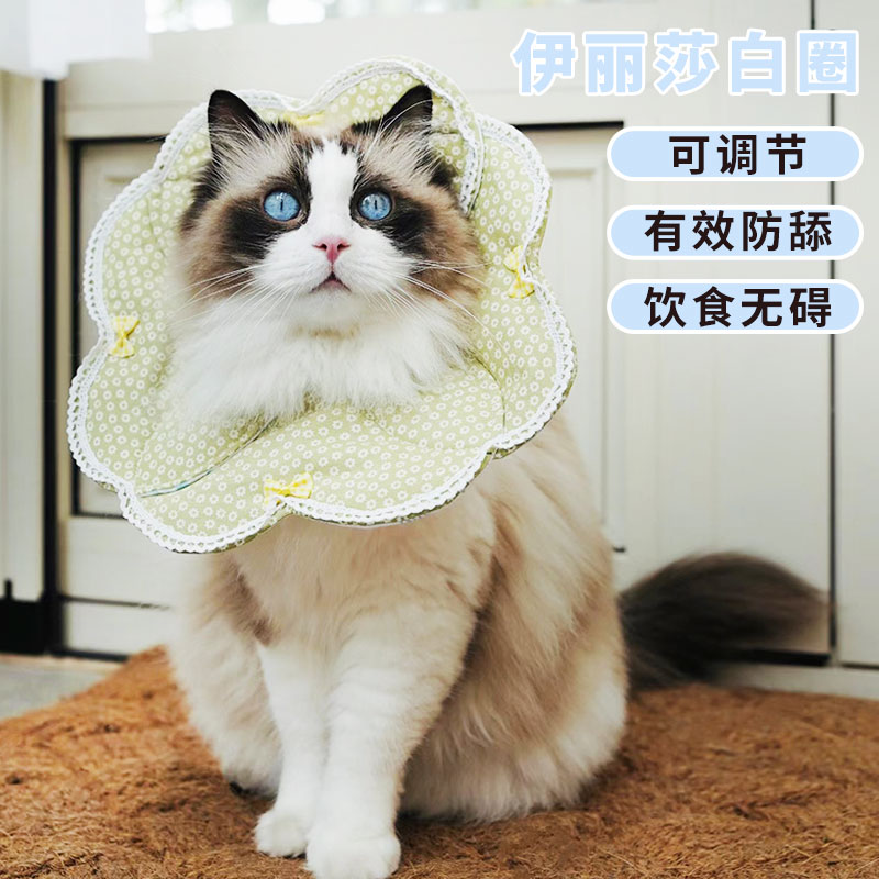 猫咪世界 猫咪项圈伊丽莎白圈防舔软头套伊利莎白耻辱圈宠物头套