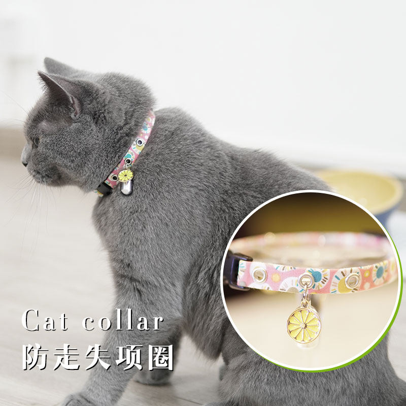 猫咪世界 日本猫咪项圈项链带防走失放纸条可写姓名电话标签