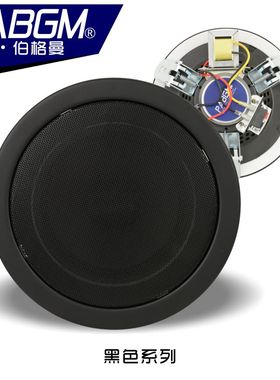 德国PABGM 6寸 黑色天花吸顶音响 金色吊顶扬声器 开孔170 6/10W