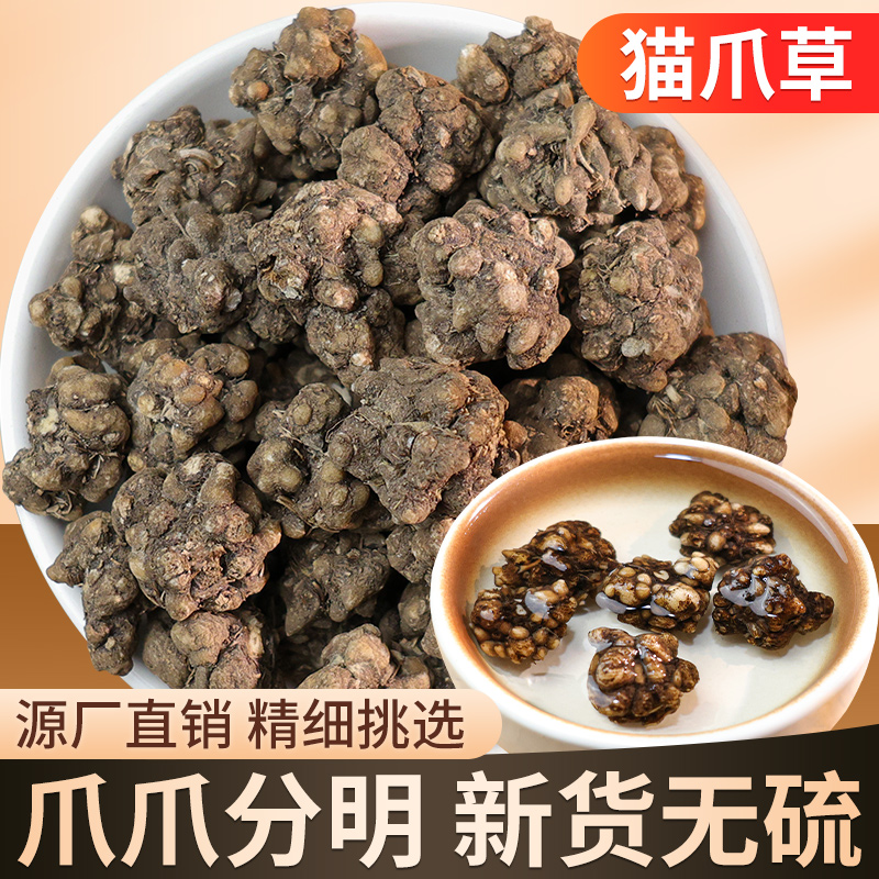 特级真的猫爪草野生猫爪草正宗正品干货水洗无硫新鲜猫抓草批发价
