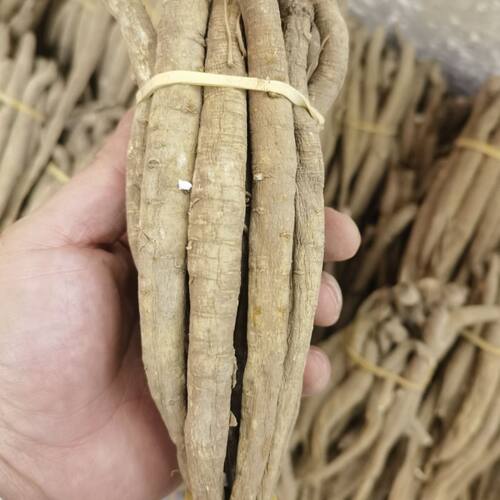 云南甜当归独角归菜当归当归西归藏当归真当归 泡酒野生煲汤干货