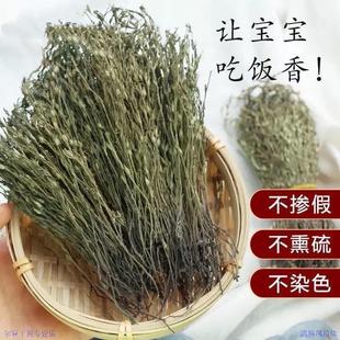 野生独脚金新货消疳积草小儿童煮汤水新鲜生晒无硫广西独脚金正品