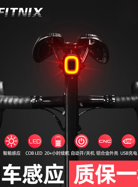 CUBELITE II智能感应刹车灯usb警示灯单车夜骑xlite100自行车尾灯
