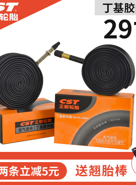 CST正新 山地自行车29寸 29*1.9 /2.35 美/法嘴内胎 自行车轮胎