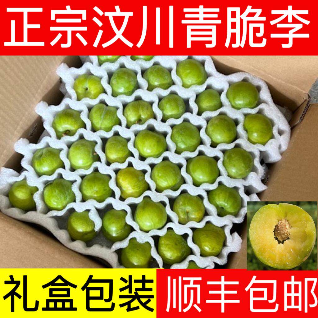 汶川青脆脱骨李新鲜甜孕妇水果当季巫山茂县空心羌脆四川高山李子