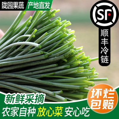 现采新鲜沙葱脆嫩爽口送货上门