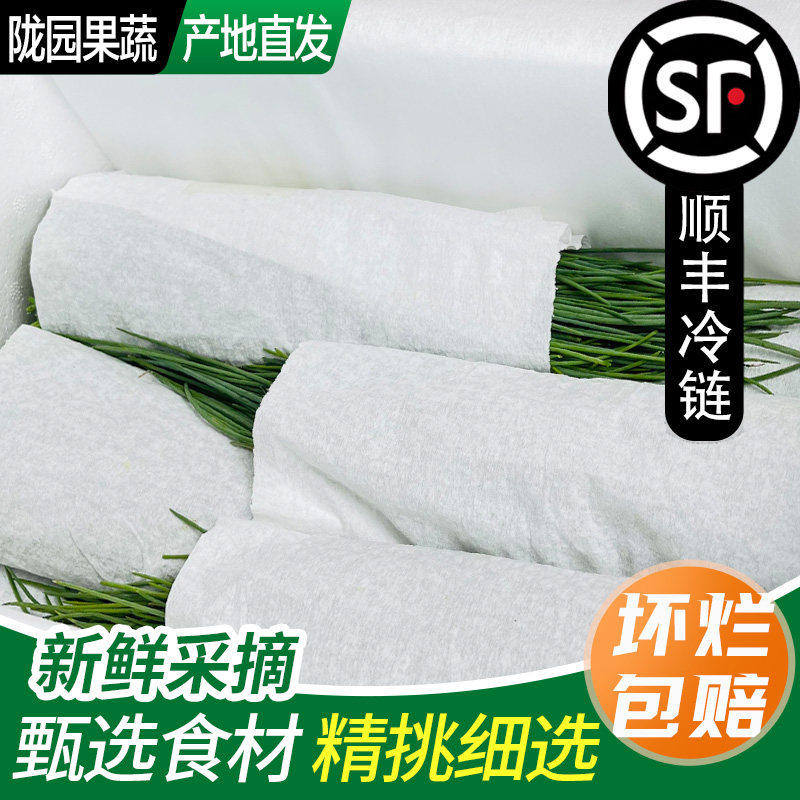 【精选品质】新鲜沙葱手工挑选甘肃新鲜蔬菜野菜非内蒙野生沙葱