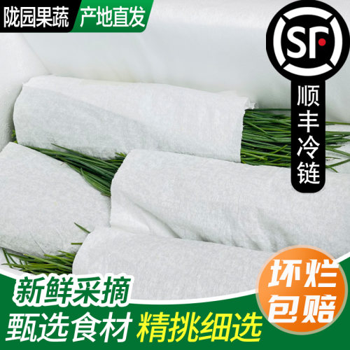 【送上门】甘肃民勤特产新鲜沙葱