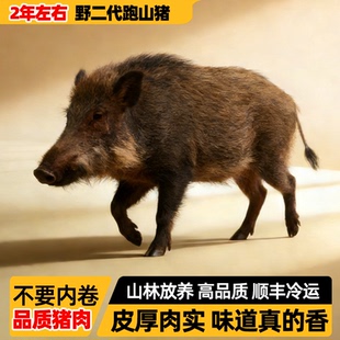 【严选生态散养】野二代跑山猪土猪肉生鲜腿肉新鲜里脊排骨五花肉