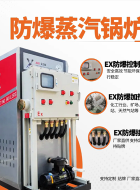 EX电阻蒸汽发生器工业级石油生产矿下专用恒温恒压防爆型蒸汽锅炉
