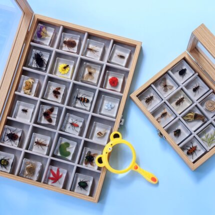 人工琥珀昆虫标本蚂蚁蜂甲虫蝉蝎子蟋蟀幼儿认知玩具小学生物教学