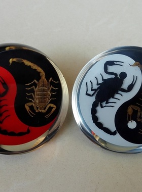 树脂摆件桌面蝎子蜘蛛标本