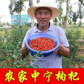 宁夏正宗中宁大粒枸杞农家头茬枸杞子枸杞王免洗苟杞子500克 包邮