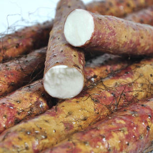 河南温县新鲜红皮铁棍山药焦作特产乌鸡土红锈斑冰糖红皮干沟垆土