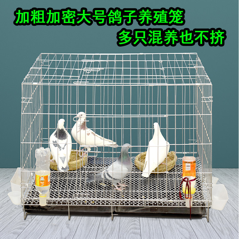 鸽子笼繁殖笼家用配对笼全套关小号大号特大超大鸽舍装鸽子养殖笼