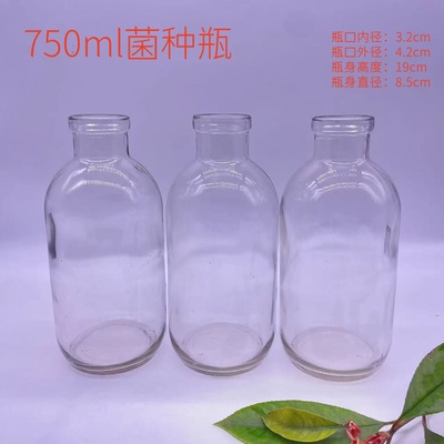 菌种实验玻璃耐高温菌种玻璃瓶