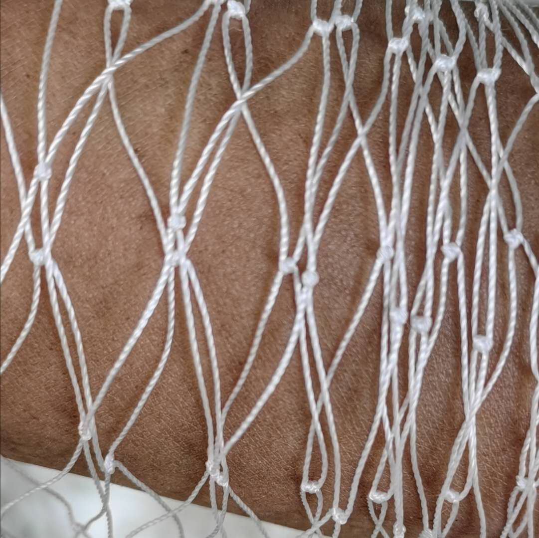 尼龙果园农场包邮防鸟网防护网