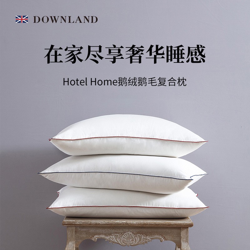 DOWNLAND鹅绒鹅毛复合羽绒枕头枕芯酒店专用睡眠护颈椎枕特价款-封面