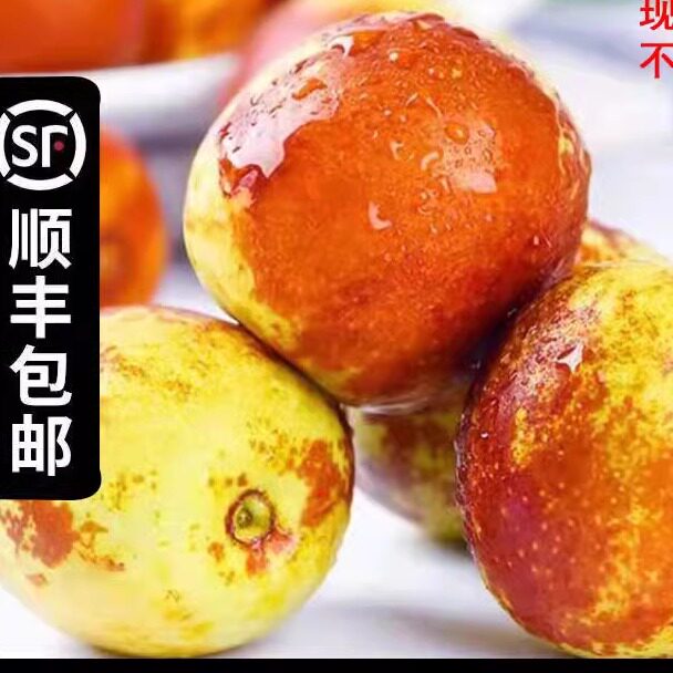 新鲜水果脆枣5斤包邮黄骅冬枣