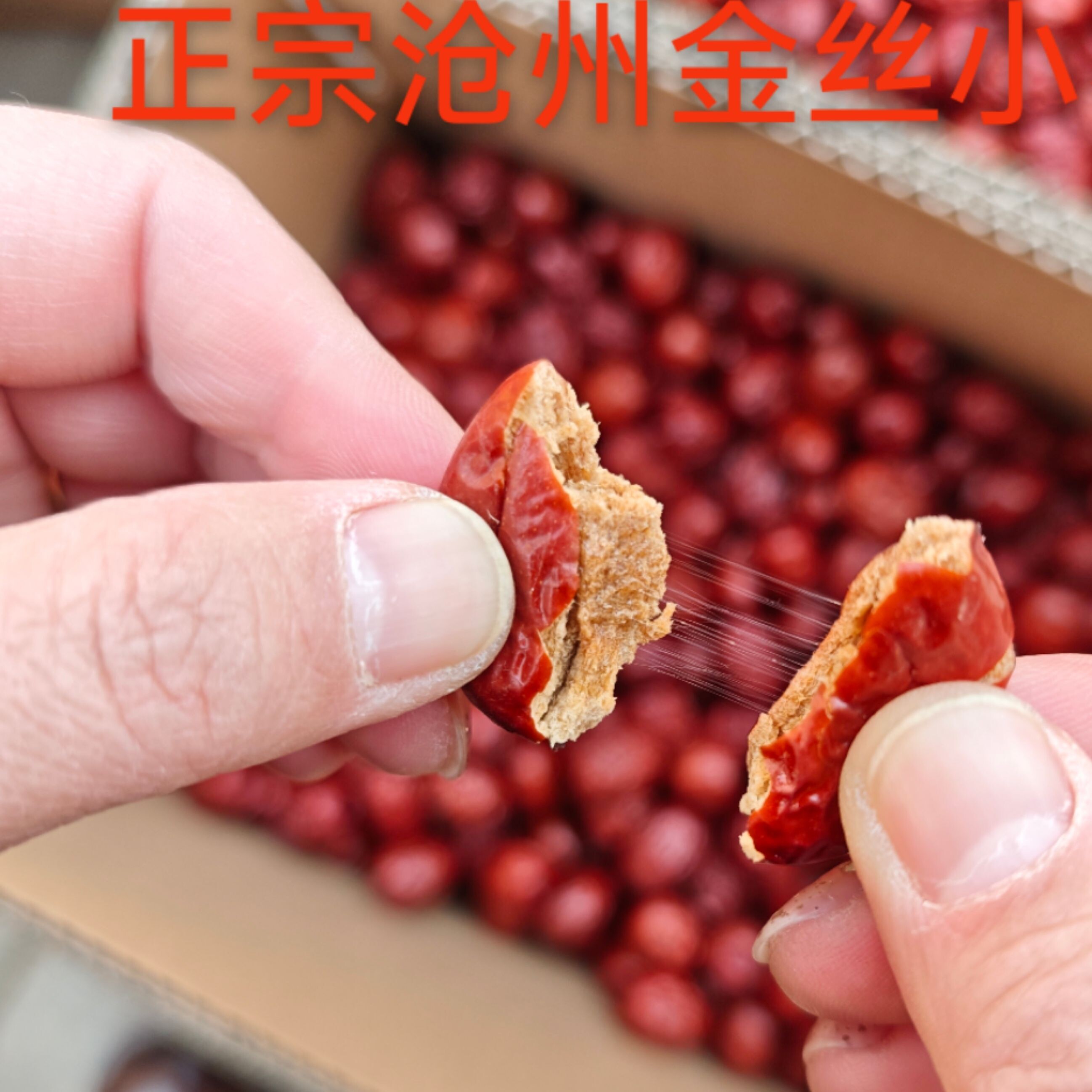 沧州红枣金丝小枣沧州特产即食枣子滋补煲汤煮粥包粽子食用中果