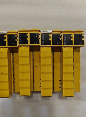 贝加莱X20cSO4110安全模块，奥地利原产，型号DD84