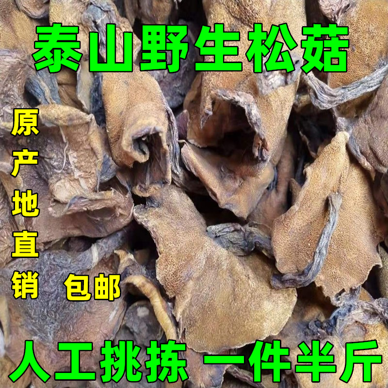 山东特产野生松蘑菇山莪子松蛾干货蘑菇松菇小香菇新鲜炖鸡蘑菇