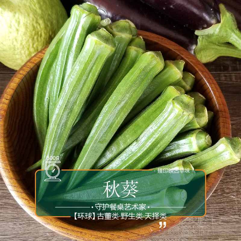 爽口臻印映新鲜野生秋葵清甜无渣