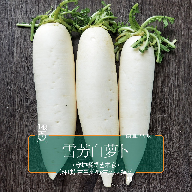 臻印映夏雪芳白萝卜天养自然生长清甜无渣去热火养生煲汤约1斤/个,水产肉类/新鲜蔬果/熟食,萝卜/胡萝卜,淘宝优惠券,粉丝福利购,淘宝优惠卷