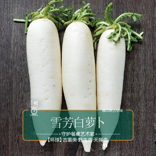 臻印映清甜无渣煲汤白萝卜