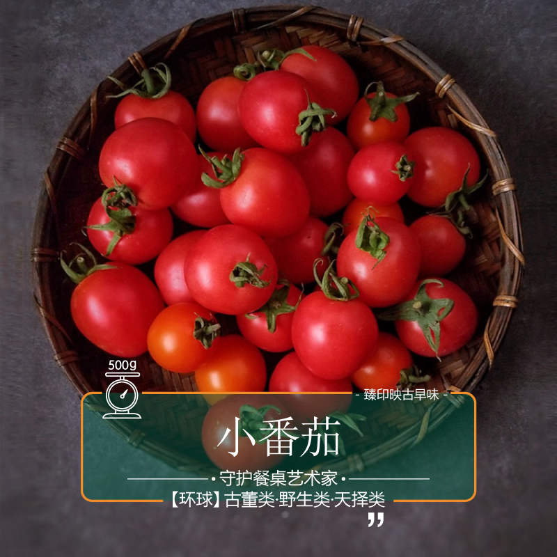 臻印映小番茄维生素丰盈
