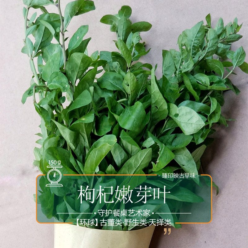 臻印映枸杞嫩芽叶春生天精草胜似野生超越有机天生天养汤润滑甘美_虎窝淘