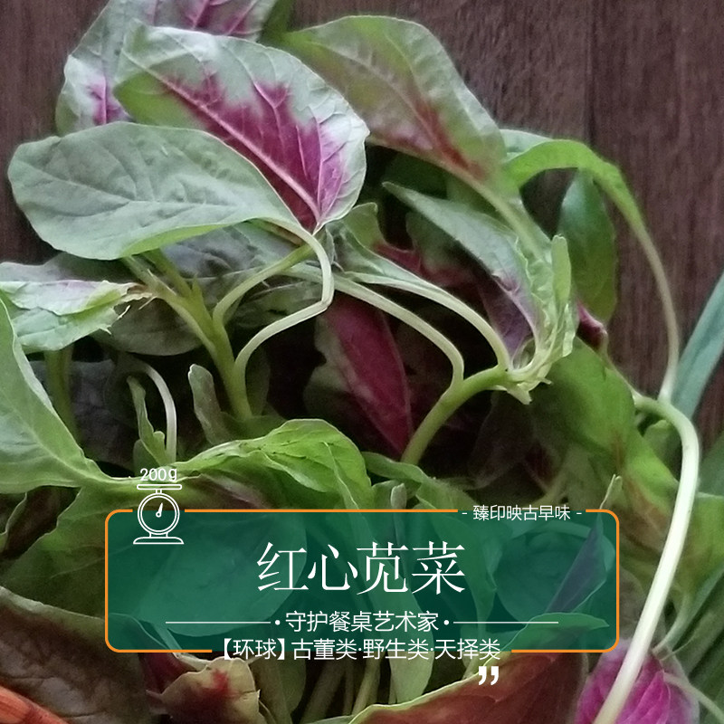 臻印映红心苋菜 胜似野生穿越有机宝宝辅食清新甜营养扎实可信0.4