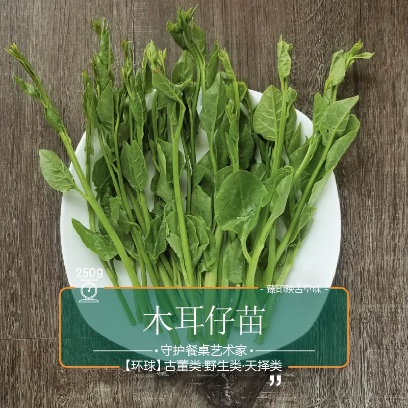 臻印映〡蜂場新鮮野菜木耳仔苗健康飲食嫩芽苗養生佳口感棒寶寶愛