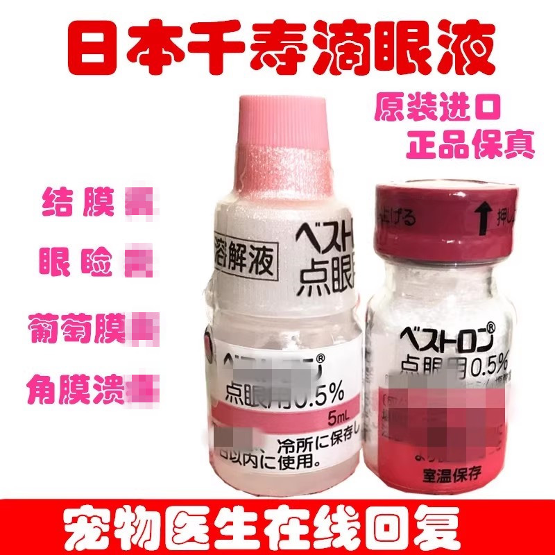 千寿狗猫眼药水眼睛红角膜腐骨图片