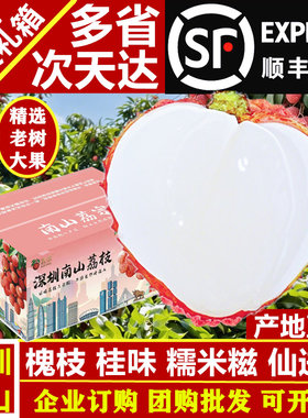 顺丰南山荔枝新鲜5斤礼箱