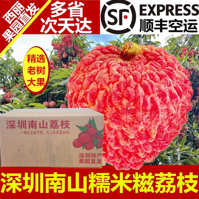 顺丰空运深圳南山西丽荔枝糯米糍大果5斤净重礼盒小核新鲜特产老