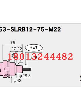 A63-SLRB12 16-75-M22日本MST热装热缩 胀刀柄现货优惠销售需询价