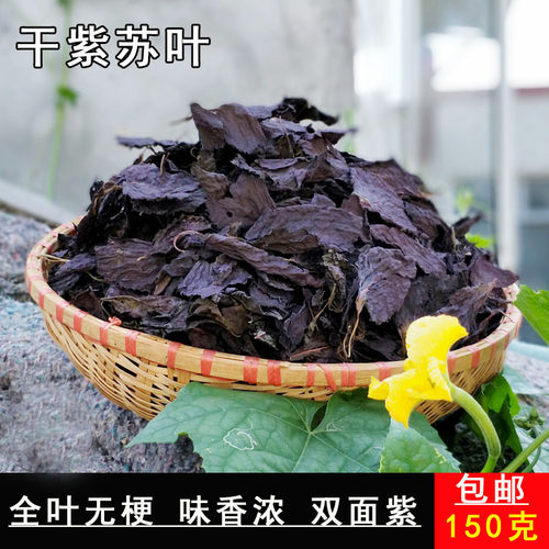 紫苏叶新鲜烤肉去腥香料晒干