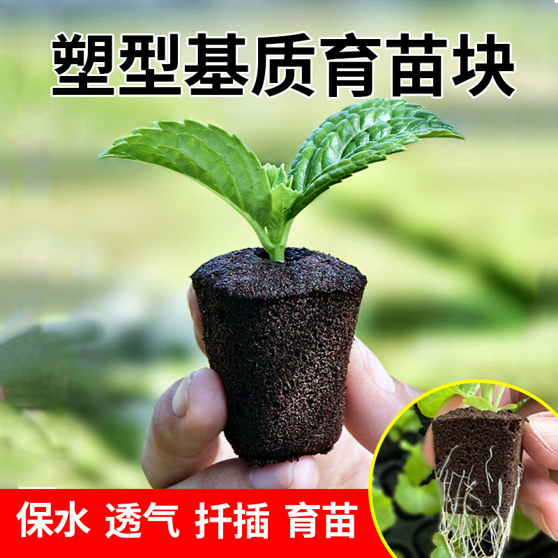 高档懒人绿植育苗扦插基质有机生物质碳绵种植基质透气促生根,鲜花速递/花卉仿真/绿植园艺,介质/营养土,淘宝优惠券,粉丝福利购,淘宝优惠卷