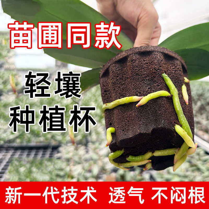 轻壤碳绵塑型基质种植杯苗圃同款