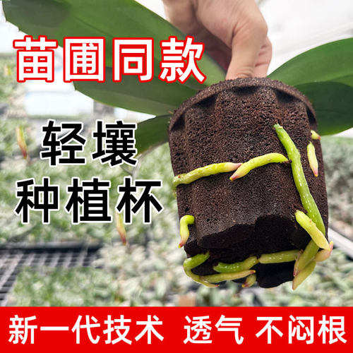 轻壤碳绵塑型基质种植杯苗圃同款