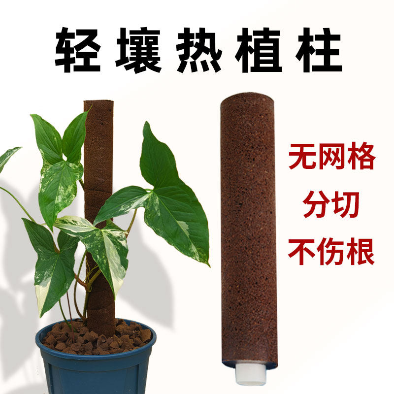 轻壤种植杯套杯热植育苗图片
