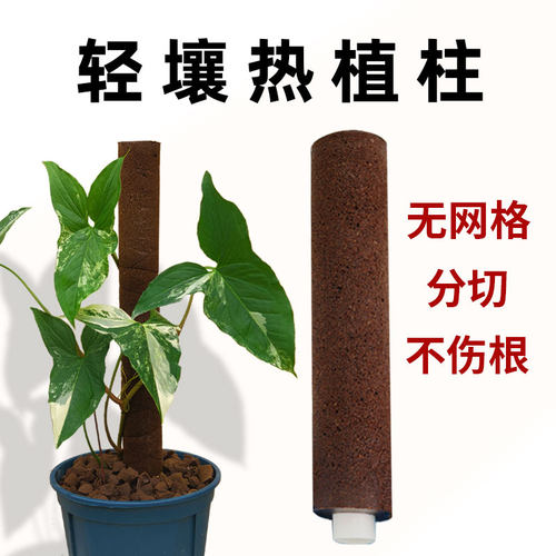 轻壤种植杯套杯热植育苗