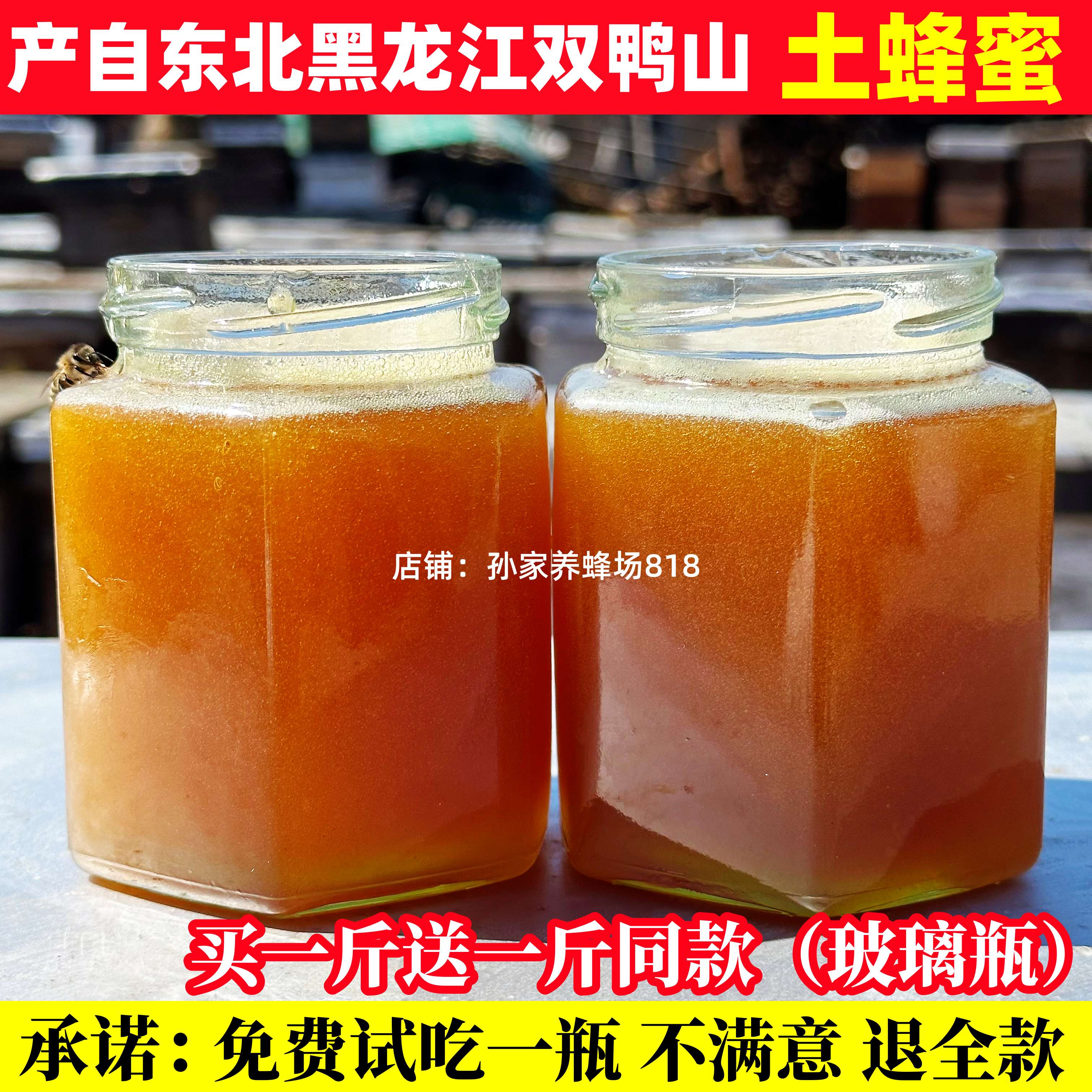 东北正宗土蜂蜜纯正天然百花蜜农家自产山花蜜野生封盖成熟原蜜