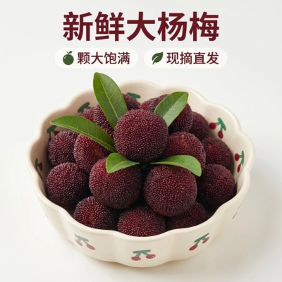 【特甜】正宗仙居东魁杨梅颗粒包装乒乓球礼盒时令当季新鲜水果