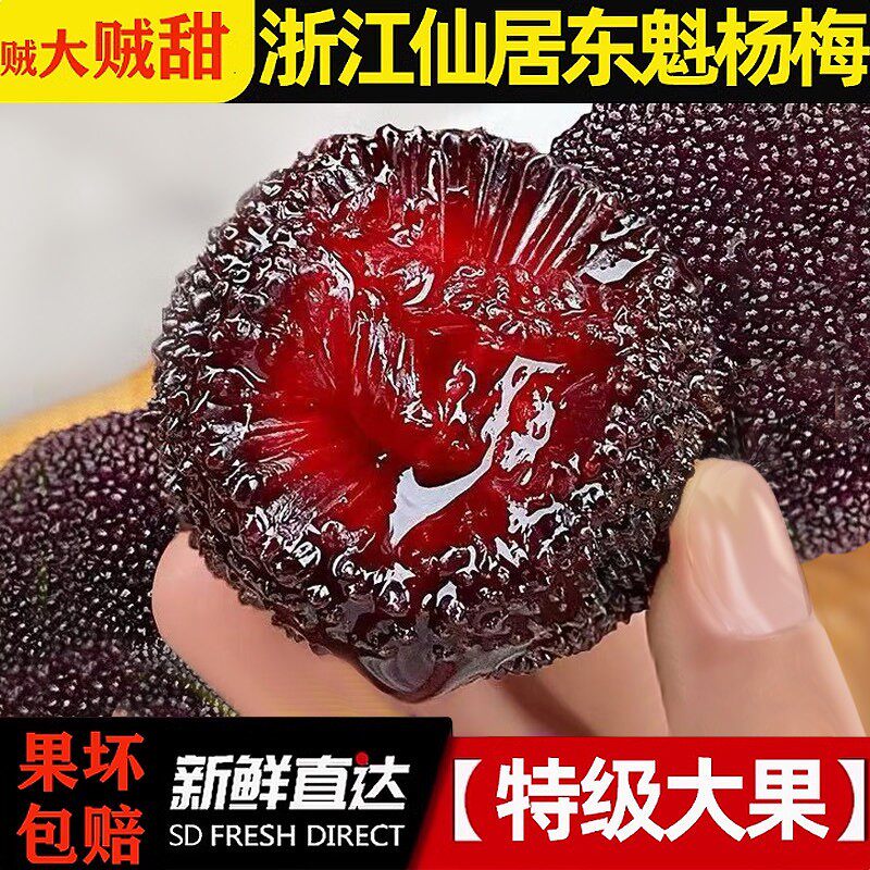 【特甜】新鲜杨梅正宗仙居东魁杨梅孕妇水果整箱礼盒装现摘现发