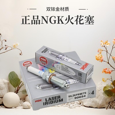 NGK铱铂金火花塞4支装奥迪
